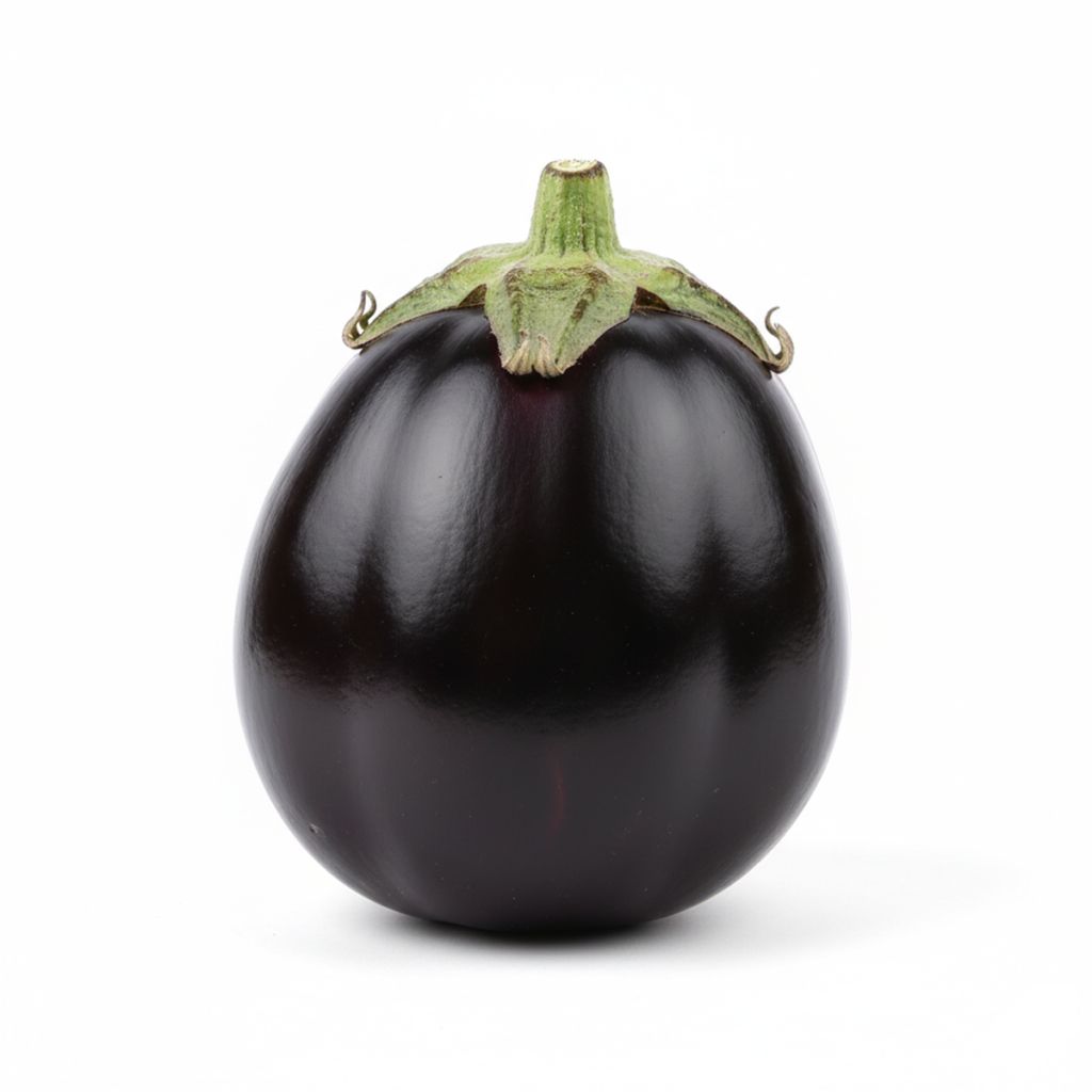 Graines d'Aubergine Black Beauty