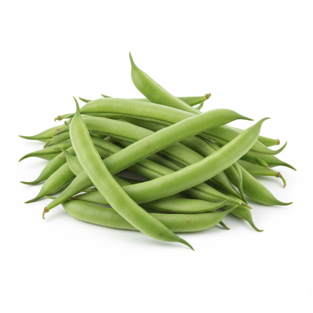 Graines de Haricot nain mangetout La Victoire