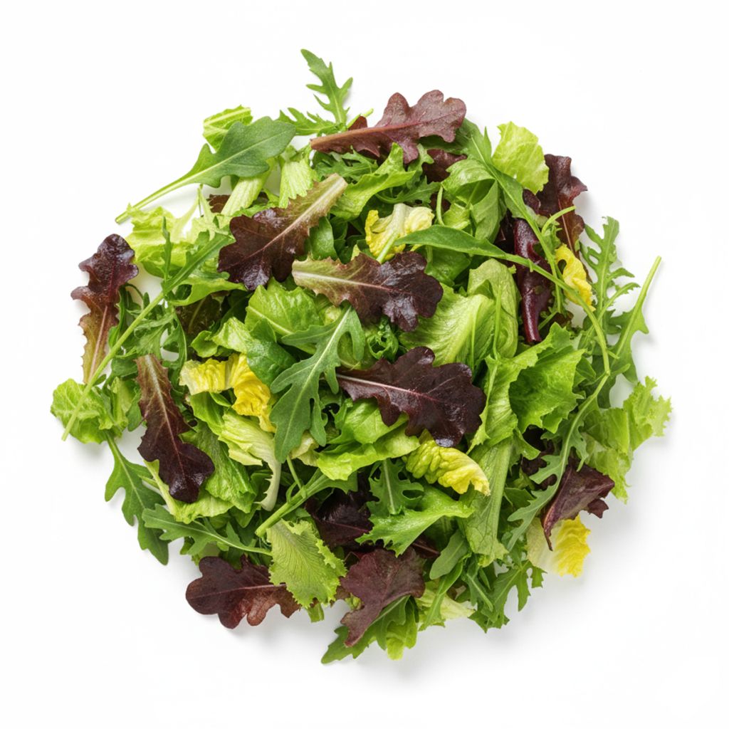 Graines de Laitues à couper en mélange