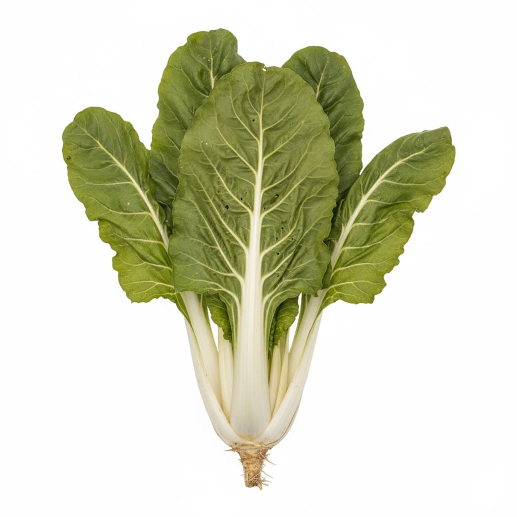 Graines de Poirée blonde à carde blanche