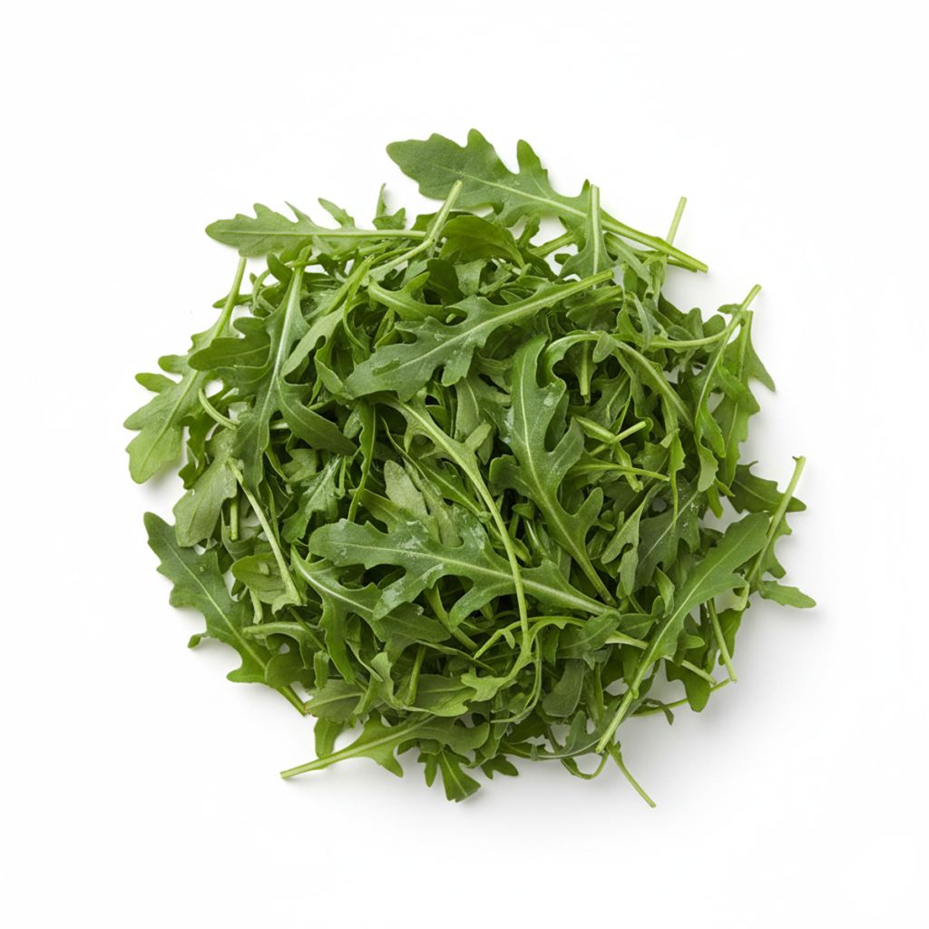 Graines de Roquette cultivée