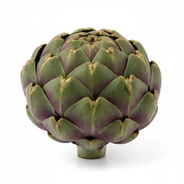 Artichaud vert globe