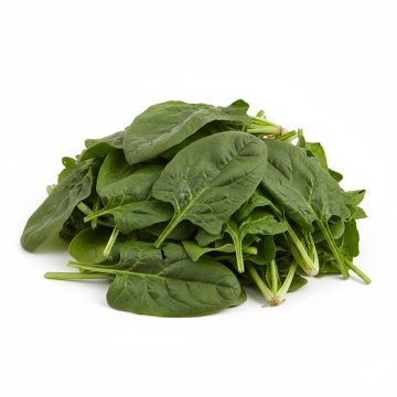 Epinard Monstrueux de Viroflay