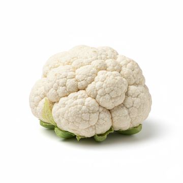 Chou-fleur Merveille de Toutes Saisons