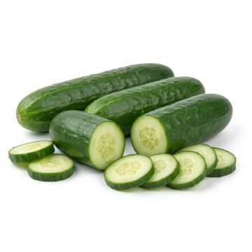 Graines de Concombre Marketer