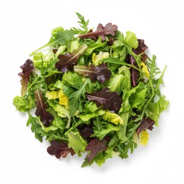 Laitues à couper en mélange