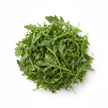 Roquette Cultivée - Eruca sativa